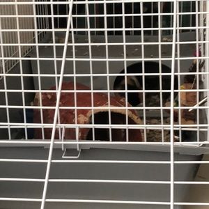 Meet your Posher, Carol